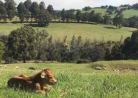 Balingup Highview Chalets