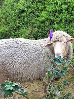 Balingup Highview Chalets