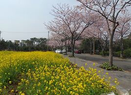 Jeju Jubilee Pension