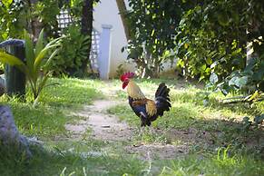 Tingum Village Hotel