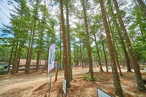 Gateway to Cape Cod RV Resort
