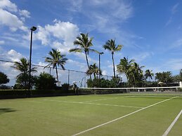 Princess Palm on the Beach