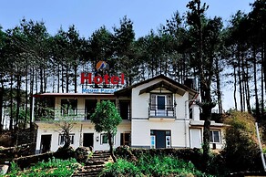 Hotel Mount Paradise