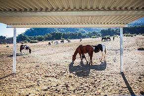 Rancho Oso RV & Camping Resort