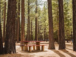 Tahoe Valley Campground