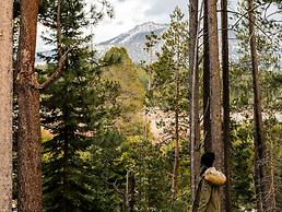 Tahoe Valley Campground