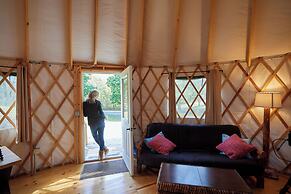 Circle M RV & Camping Resort - Caravan Park