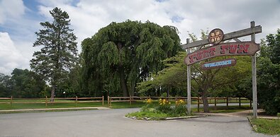 Circle M RV & Camping Resort - Caravan Park