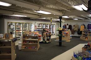 Circle M RV & Camping Resort - Caravan Park