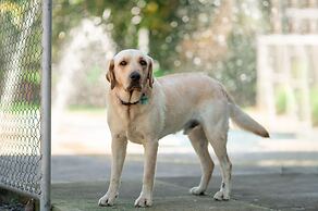 Hotel Costa Pacífica