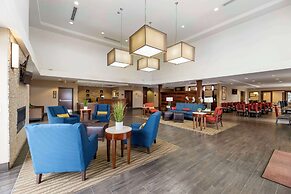 Comfort Suites Carlsbad