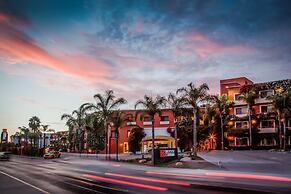 Gamma Tijuana