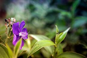 Mar Inn Bed & Breakfast