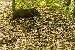 Drake Bay Getaway Resort