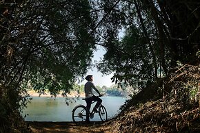 Banyan Tree Yangshuo
