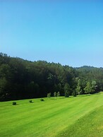 Natura Amon
