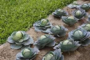 Novotel New Delhi Aerocity Hotel