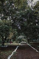 Mango Selva Bio Hotel