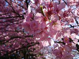 APA Hotel Higashi Shinjuku Kabukicho