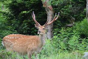 Okunikko Konishi Hotel