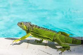 The Marker Key West Harbor Resort