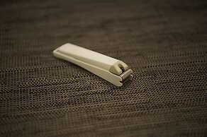 Sotetsu Fresa Inn Ochanomizu Jimbocho