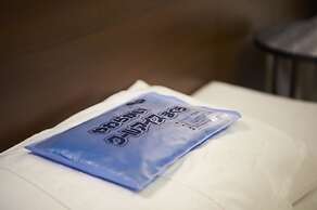 Sotetsu Fresa Inn Ochanomizu Jimbocho