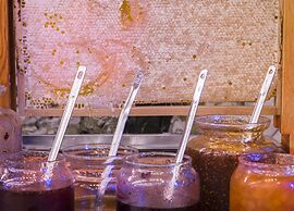 Régie Ottoman Istanbul