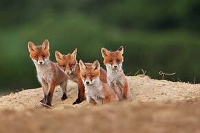 panoraMic Mountain Residence