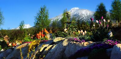 panoraMic Mountain Residence