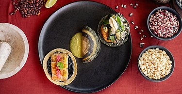 La Zebra Tulum - a Small Luxury Hotel