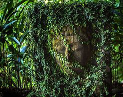 Costa Rica Yoga Spa
