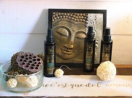 The Originals Boutique, Hôtel Spa, Honfleur Sud