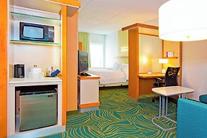 Springhill Suites by Marriott Pittsburgh Mt. Lebanon