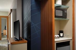 Springhill Suites by Marriott Pittsburgh Mt. Lebanon