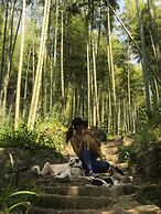 Moganshan Solvang Village Boutique Hotel