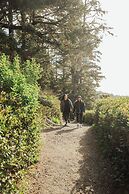 Ucluelet Wildwood Inn