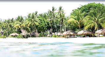 Pulchra - Philippines