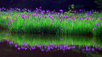 Okubiwako Makino Grand Park Hotel