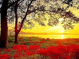 Okubiwako Makino Grand Park Hotel