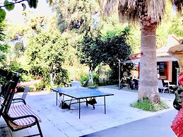 Almyra Apartments & Studios