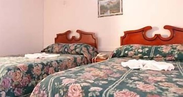 Stephanie's Apartments Ltd