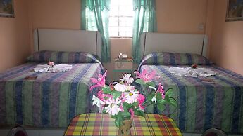 Stephanie's Apartments Ltd