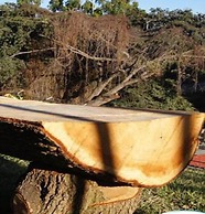 Hotel Chapala Country