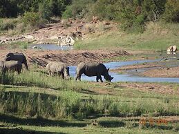 Mziki Safari Lodge