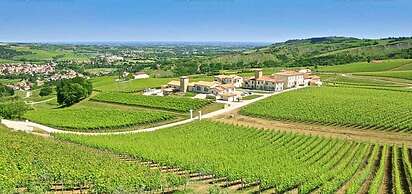 Borgo Condé Wine Resort