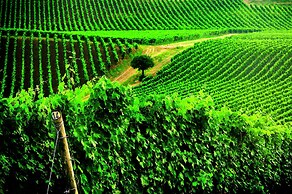 Borgo Condé Wine Resort