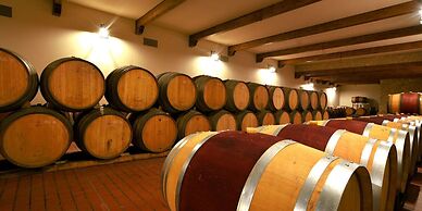 Borgo Condé Wine Resort