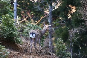 Hotel Harvest Amagikogen