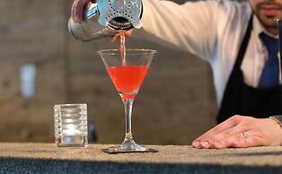 Bayer 89 Vi Vadi Hotel